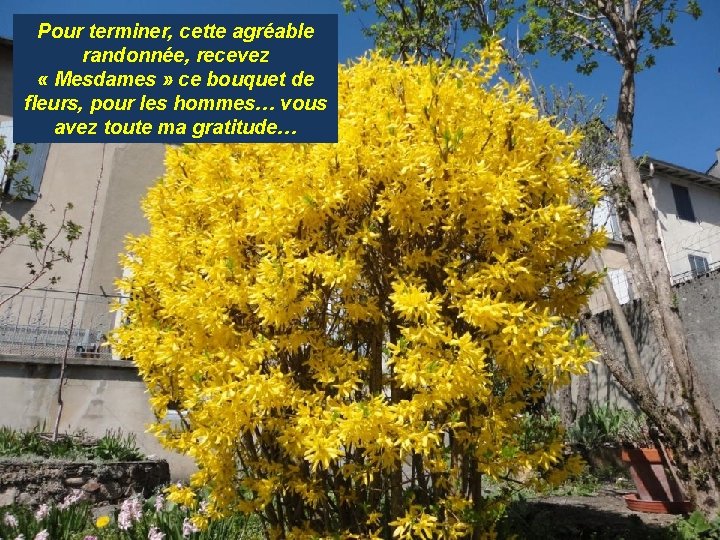 Pour terminer, cette agréable randonnée, recevez « Mesdames » ce bouquet de fleurs, pour