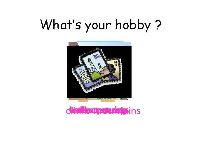 What’s your hobby ? collect stamps walk listen ato pet music dog climb mountains