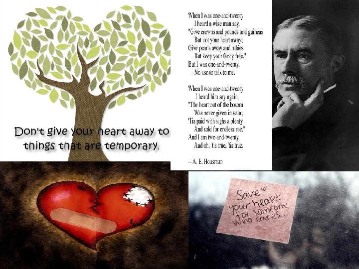 Honors English IV Poetry Project By Morgan Graves
