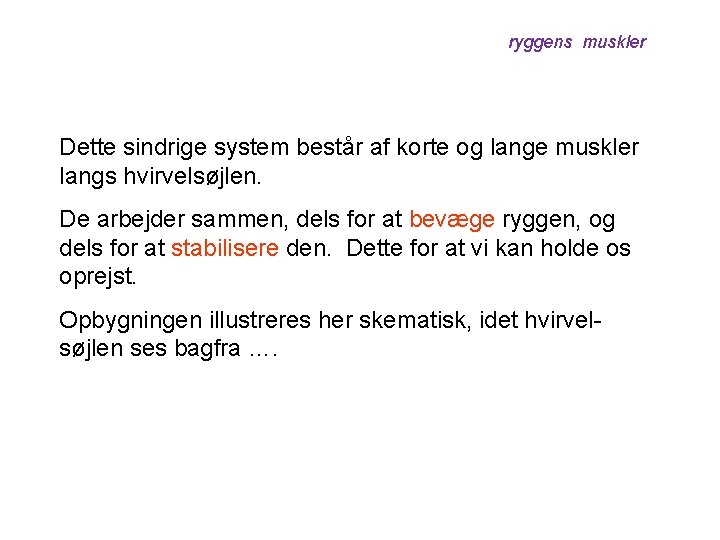 ryggens muskler Dette sindrige system består af korte og lange muskler langs hvirvelsøjlen. De