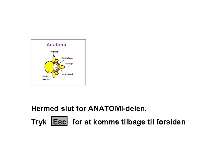 Anatomi Hermed slut for ANATOMI-delen. Tryk Esc for at komme tilbage til forsiden 