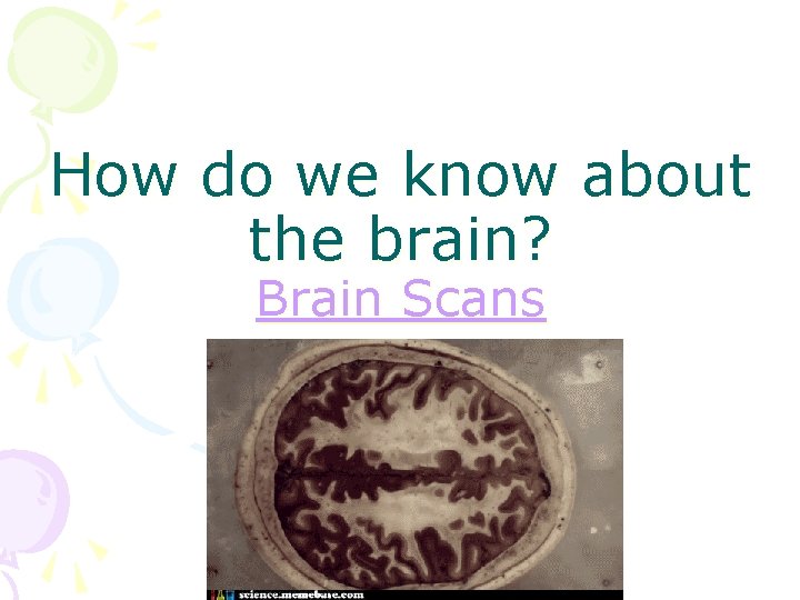 How do we know about the brain? Brain Scans 