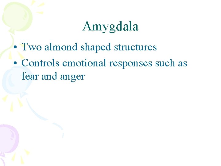 Amygdala • Two almond shaped structures • Controls emotional responses such as fear and