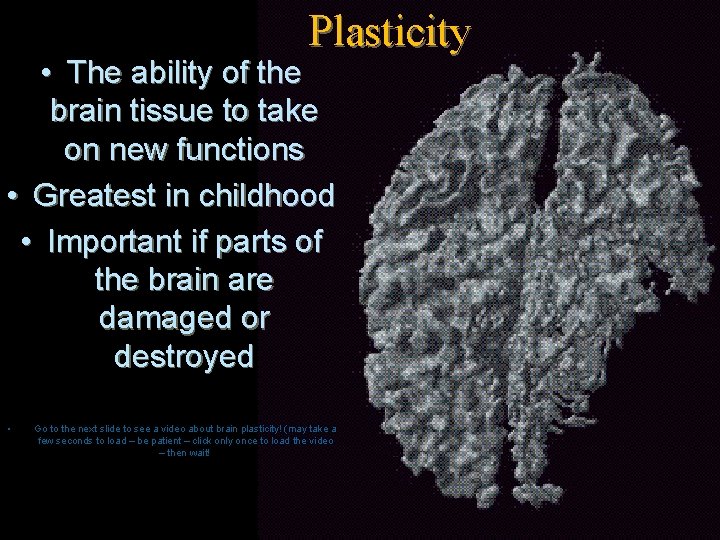 Plasticity • The ability of the brain tissue to take on new functions •