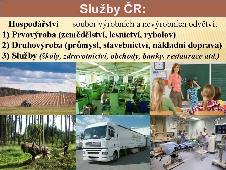 Služby ČR: Hospodářství = soubor výrobních a nevýrobních odvětví: 1) Prvovýroba (zemědělství, lesnictví, rybolov)