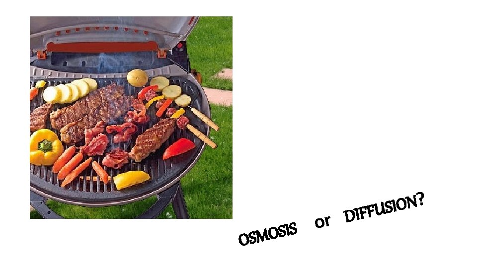 D r o S I S O M S O ? N O I