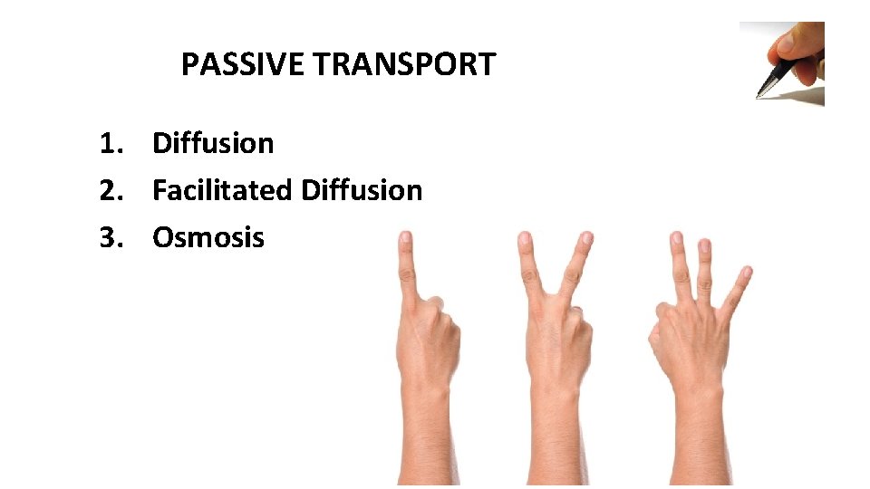 PASSIVE TRANSPORT 1. Diffusion 2. Facilitated Diffusion 3. Osmosis 