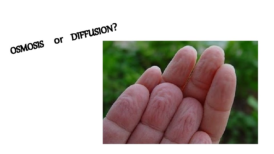 r o S I S O OSM ? N O I S DIFFU 