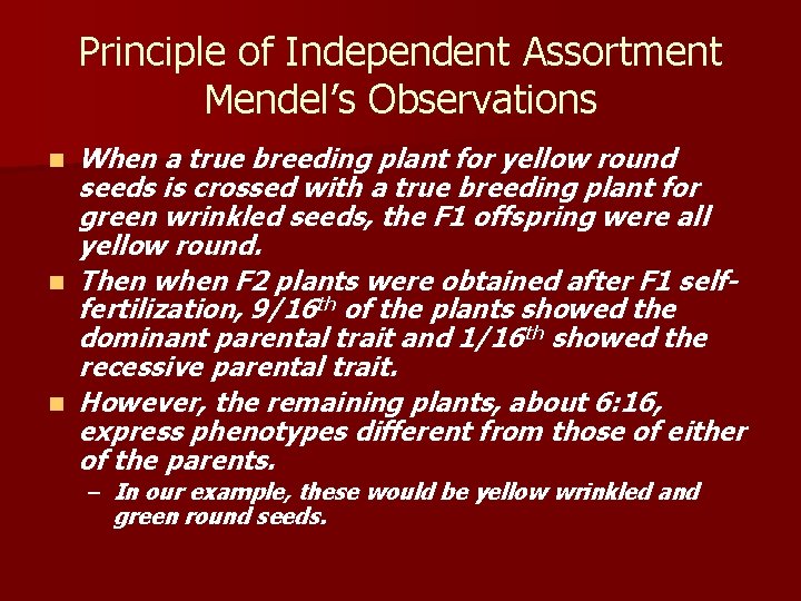 Principle of Independent Assortment Mendel’s Observations n n n When a true breeding plant