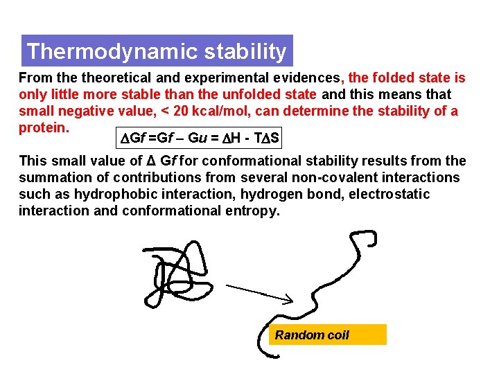 Thermodynamic stability From theoretical and experimental evidences, the folded state is only little more