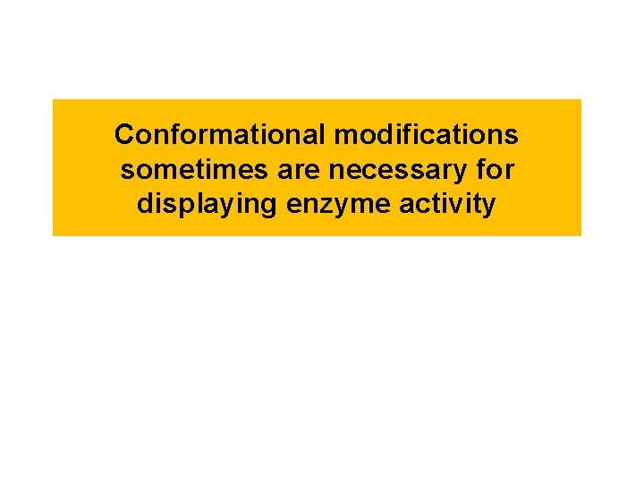 Conformational modifications sometimes are necessary for displaying enzyme activity 