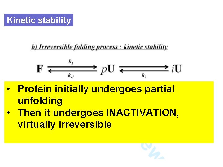 Kinetic stability • Protein initially undergoes partial unfolding • Then it undergoes INACTIVATION, virtually
