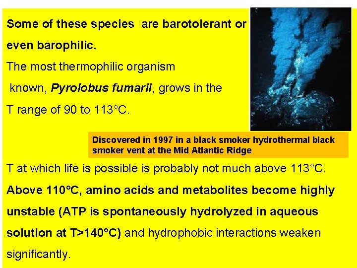 Some of these species are barotolerant or even barophilic. The most thermophilic organism known,