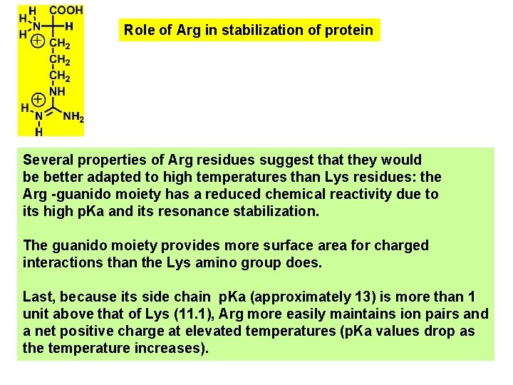 Role of Arg in stabilization of protein Several properties of Arg residues suggest that