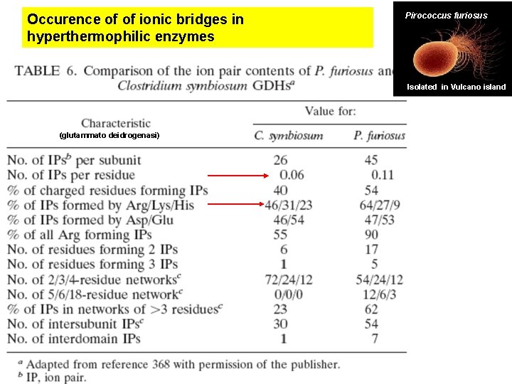 Occurence of of ionic bridges in hyperthermophilic enzymes Pirococcus furiosus Isolated in Vulcano island