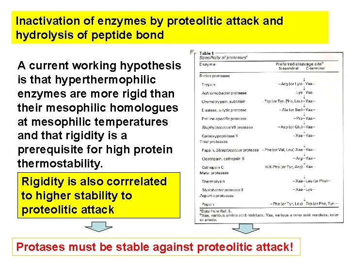 Inactivation of enzymes by proteolitic attack and hydrolysis of peptide bond A current working