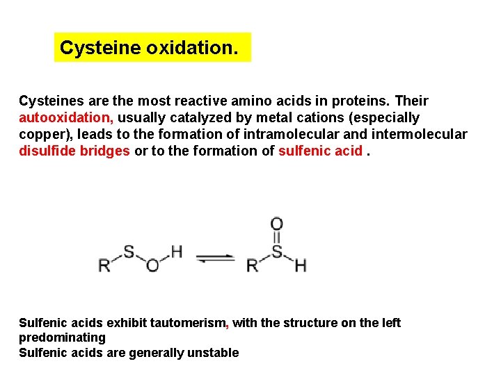 Cysteine oxidation. Cysteines are the most reactive amino acids in proteins. Their autooxidation, usually