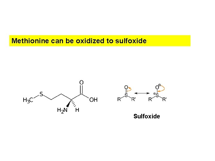 Methionine can be oxidized to sulfoxide Sulfoxide 