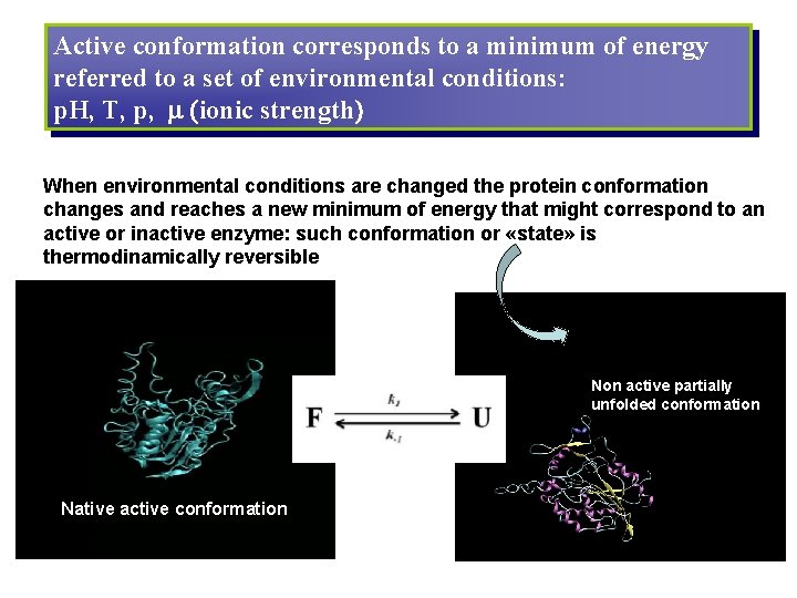 Active conformation corresponds to a minimum of energy referred to a set of environmental