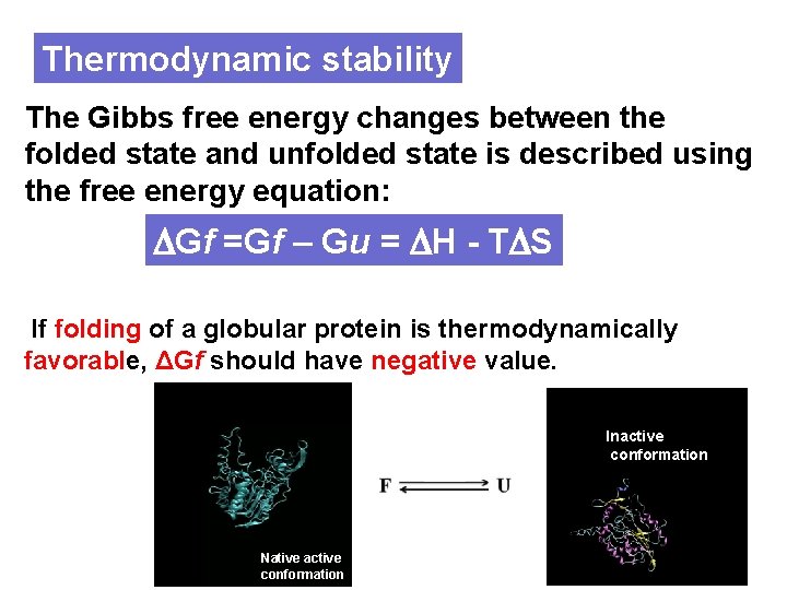 Thermodynamic stability The Gibbs free energy changes between the folded state and unfolded state