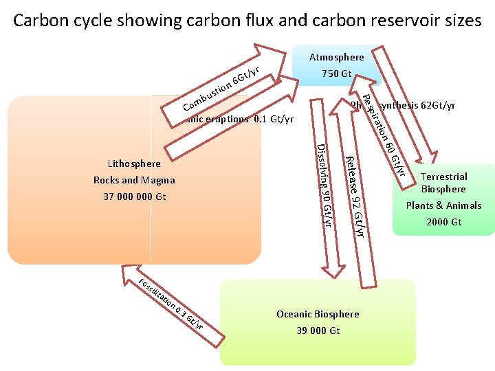 Carbon cycle showing carbon flux and carbon reservoir sizes Atmosphere yr / t G