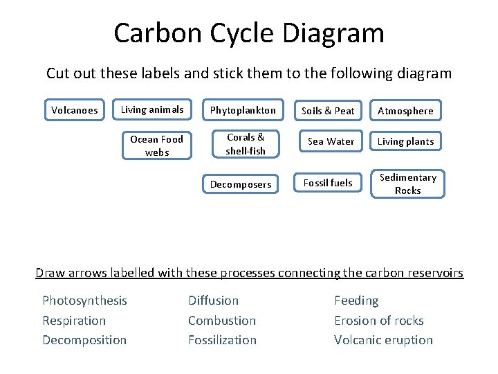 Carbon Cycle Diagram Cut out these labels and stick them to the following diagram