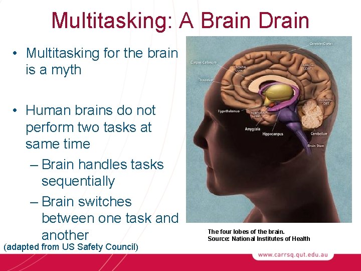 Multitasking: A Brain Drain • Multitasking for the brain is a myth • Human