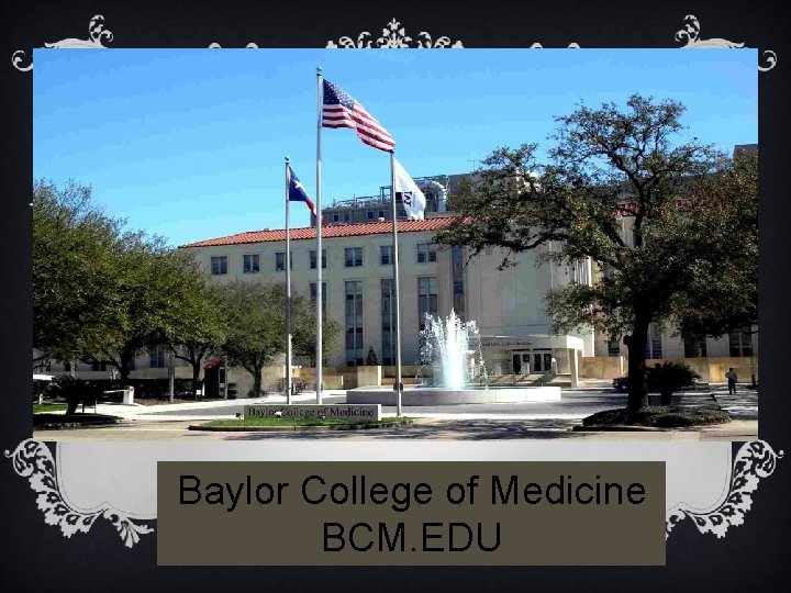 Baylor College of Medicine BCM. EDU 
