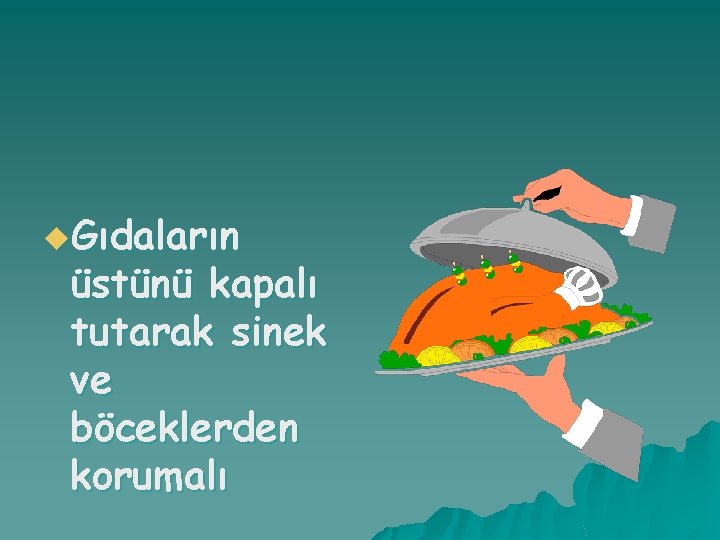 u. Gıdaların üstünü kapalı tutarak sinek ve böceklerden korumalı 