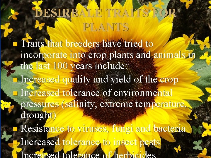DESIRBALE TRAITS FOR PLANTS n Traits that breeders have tried to incorporate into crop