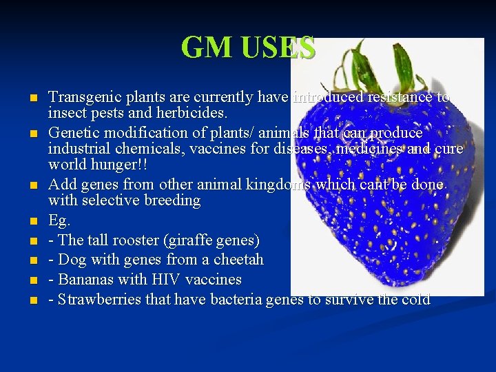 GM USES n n n n Transgenic plants are currently have introduced resistance to