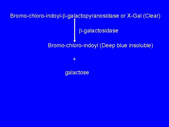 Bromo-chloro-indoyl- -galactopyranosidase or X-Gal (Clear) -galactosidase Bromo-chloro-indoyl (Deep blue insoluble) + galactose 