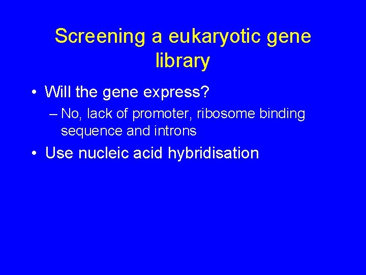 Screening a eukaryotic gene library • Will the gene express? – No, lack of