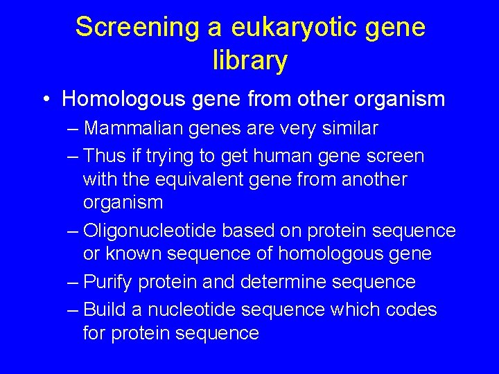 Screening a eukaryotic gene library • Homologous gene from other organism – Mammalian genes