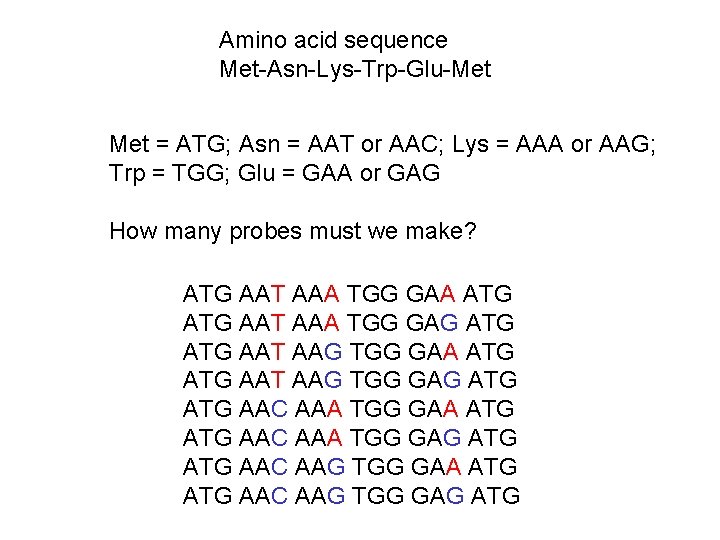 Amino acid sequence Met-Asn-Lys-Trp-Glu-Met = ATG; Asn = AAT or AAC; Lys = AAA