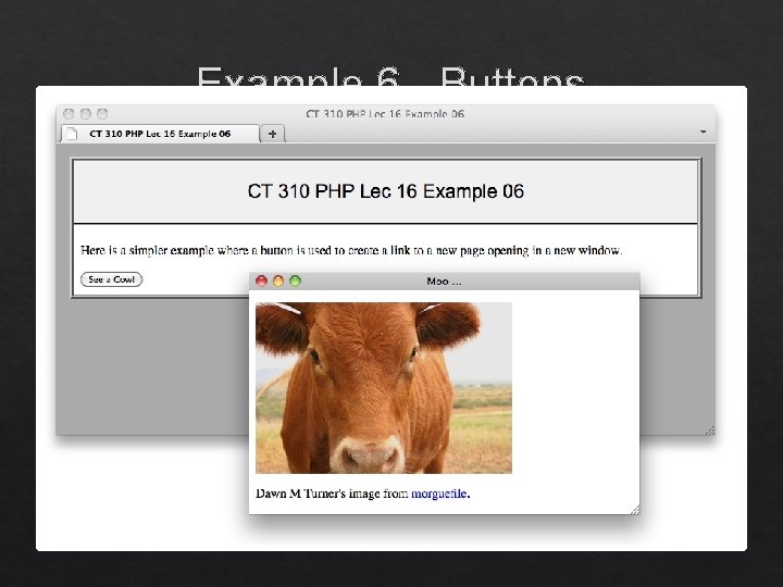 Example 6 - Buttons CT 310 - Web Development, Colorado State University December 17,