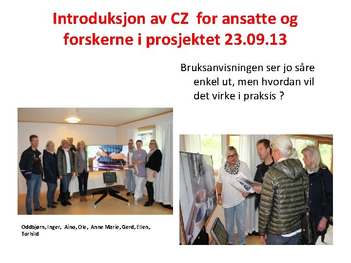 Introduksjon av CZ for ansatte og forskerne i prosjektet 23. 09. 13 Bruksanvisningen ser