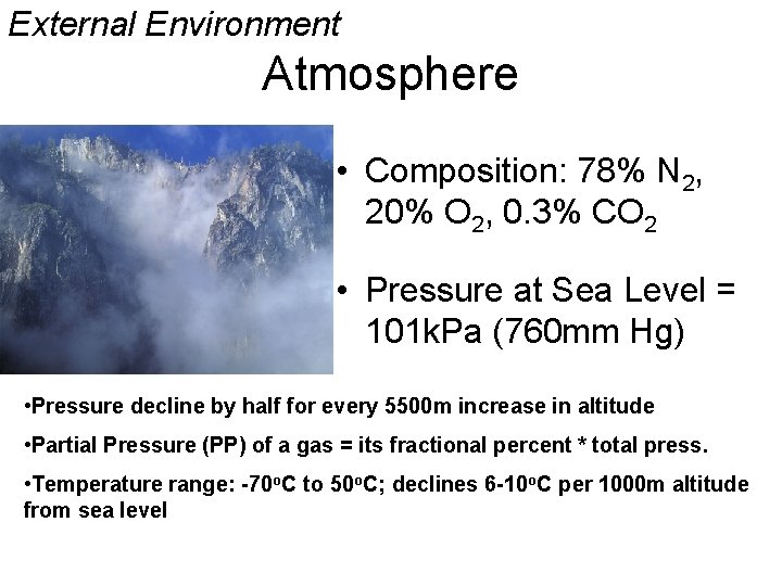 External Environment Atmosphere • Composition: 78% N 2, 20% O 2, 0. 3% CO