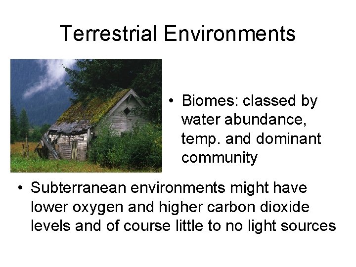 Terrestrial Environments • Biomes: classed by water abundance, temp. and dominant community • Subterranean
