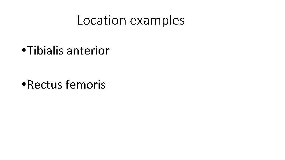 Location examples • Tibialis anterior • Rectus femoris 