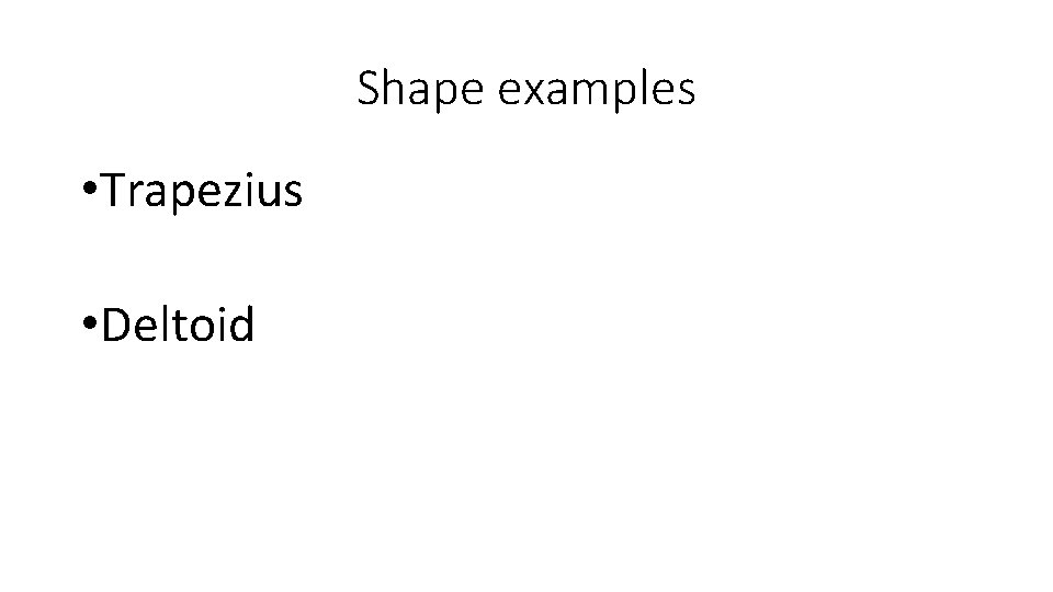 Shape examples • Trapezius • Deltoid 