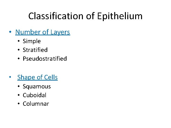 Classification of Epithelium • Number of Layers • Simple • Stratified • Pseudostratified •