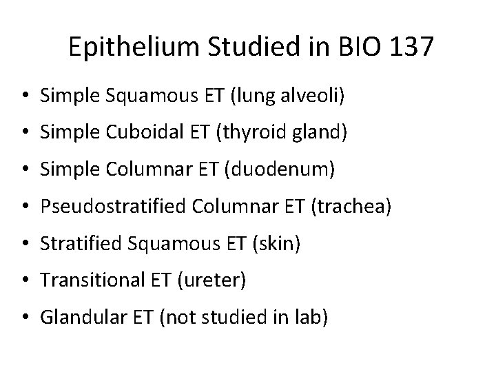 Epithelium Studied in BIO 137 • Simple Squamous ET (lung alveoli) • Simple Cuboidal