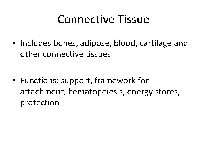 Connective Tissue • Includes bones, adipose, blood, cartilage and other connective tissues • Functions: