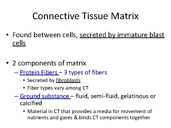 Connective Tissue Matrix • Found between cells, secreted by immature blast cells • 2