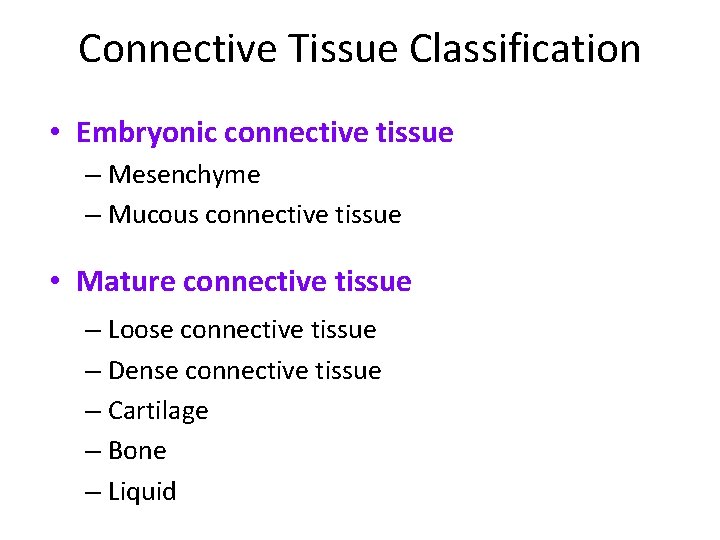 Connective Tissue Classification • Embryonic connective tissue – Mesenchyme – Mucous connective tissue •
