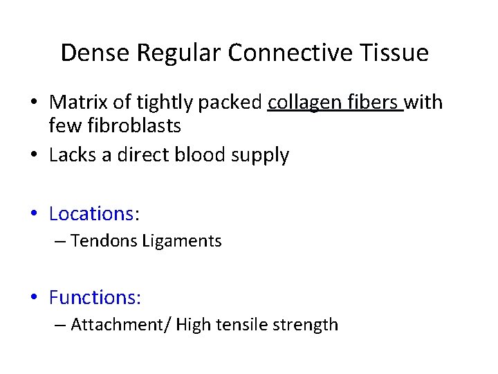 Dense Regular Connective Tissue • Matrix of tightly packed collagen fibers with few fibroblasts