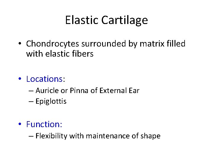 Elastic Cartilage • Chondrocytes surrounded by matrix filled with elastic fibers • Locations: –