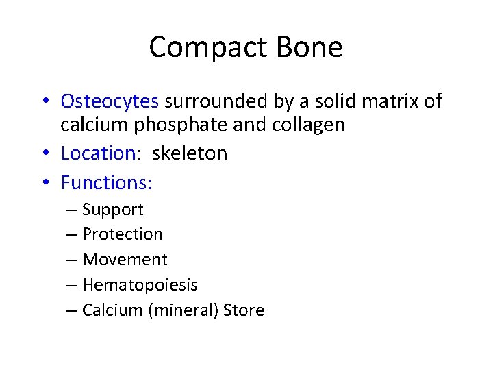Compact Bone • Osteocytes surrounded by a solid matrix of calcium phosphate and collagen