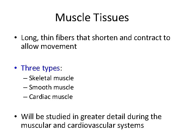 Muscle Tissues • Long, thin fibers that shorten and contract to allow movement •